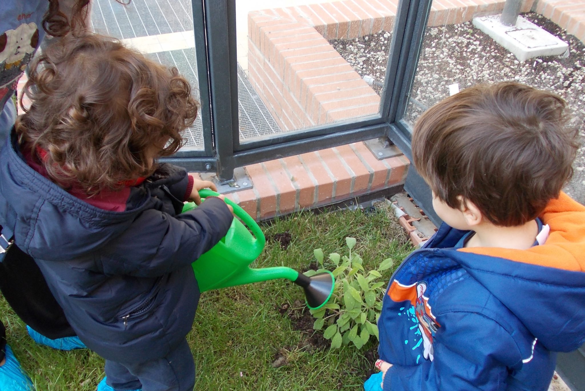 Un'immagine che ritrae bambino, ricreazione, primavera, bambino che fa i primi passi e divertimento.